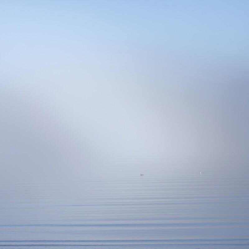 Minimalist view of a calm, misty body of water under a pale blue sky. Two small birds float in the distance, creating a tranquil and serene atmosphere. The horizon and water blend softly together.
