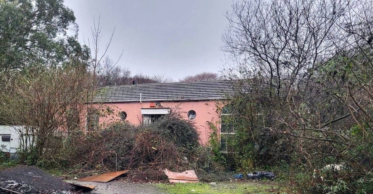 When Ryan and Jen viewed the property, it was partly obscured by trees and bushes 