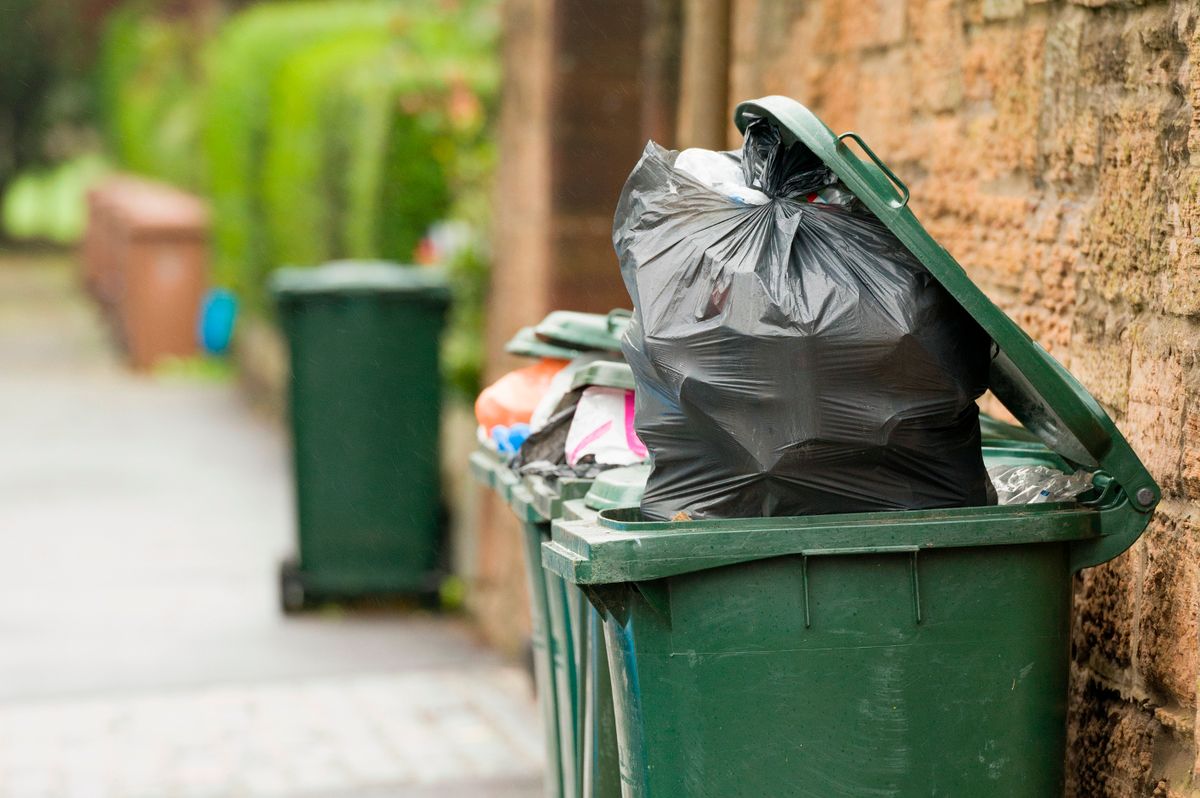 Wheelie bins on a pavement waiting for rubbish collection.