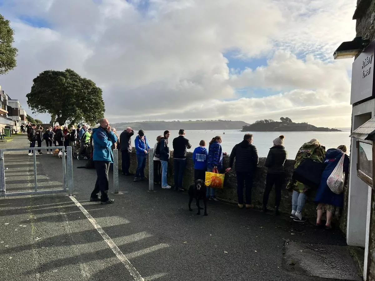 Crowds gather at Firestone Bay in Plymouth to greet local celebrity, Spearmint the seal