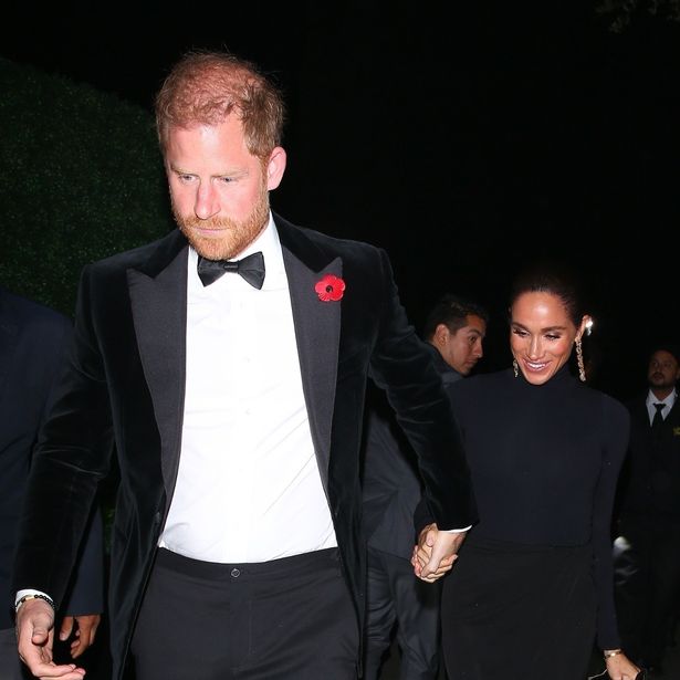 The Sussexes reportedly did not want to be seen dancing on Remembrance Day