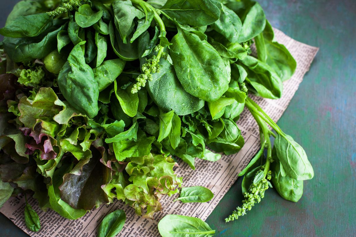 Bunch of green fresh juicy lettuce leaves, arugula and spinach, close-up