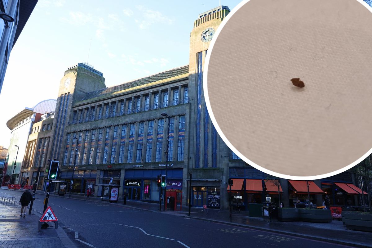 The Premier Inn hotel on Newgate Street in Newcastle city centre, where James Alexander stayed was bitten by fleas