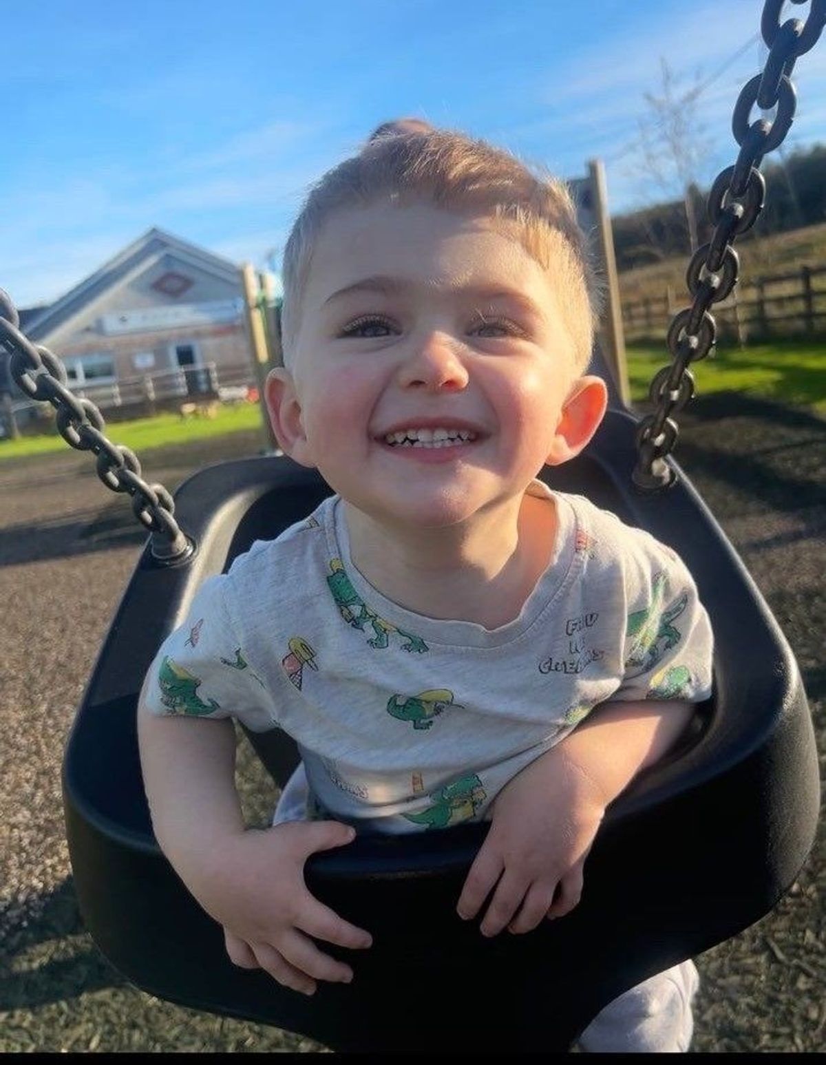 A little boy smiling on the swings
