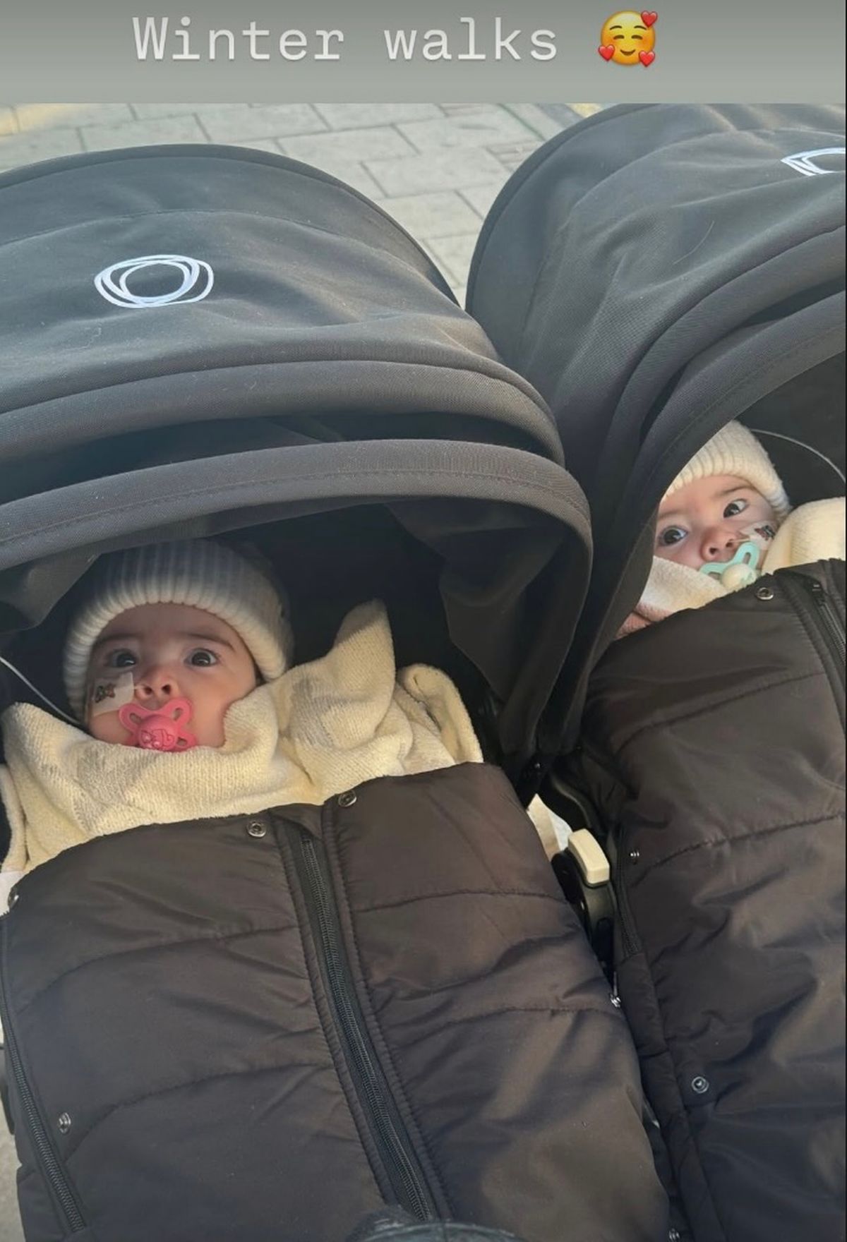 Jesy Nelson shared an adorable snap of her two twins