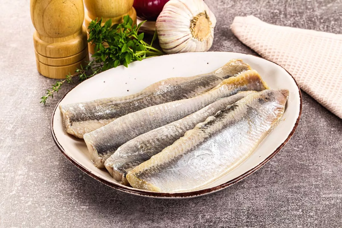 Marinated salted herring fillet apetizer with oil. 