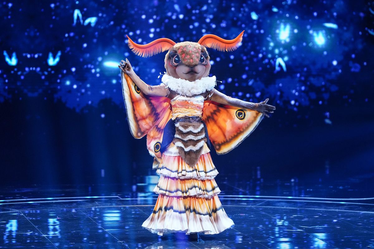 Moth from The Masked Singer
