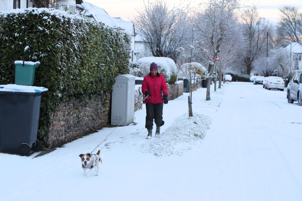 It snowed as far south as Surrey on Friday