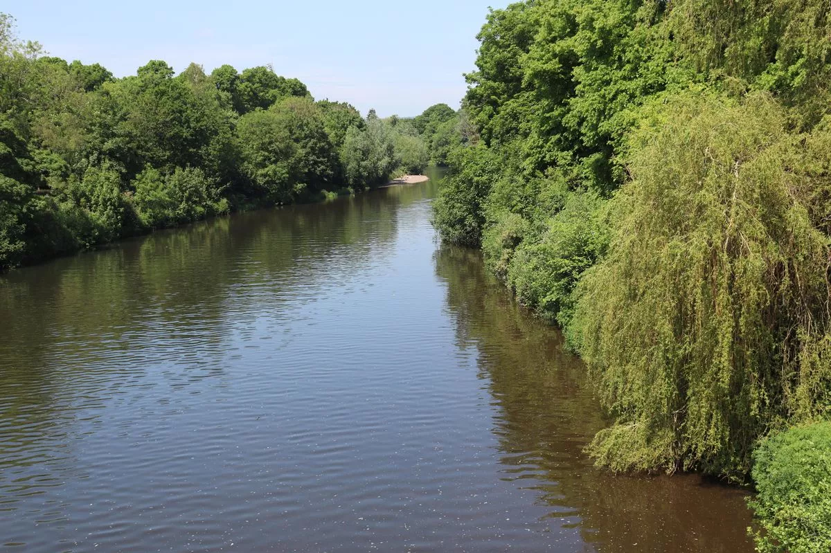 River Taff 