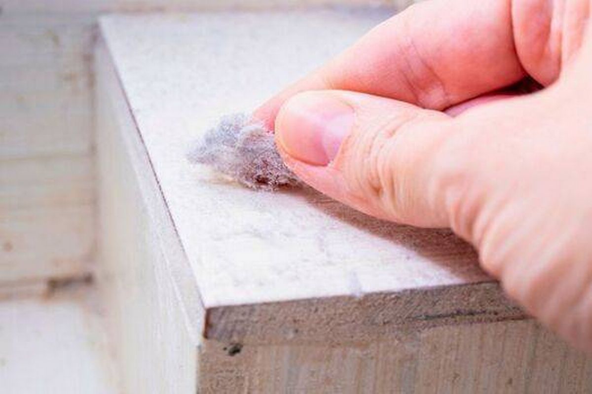 Taking a few seconds to look for gaps around your home and then seal them is the best way to keep rodents away
