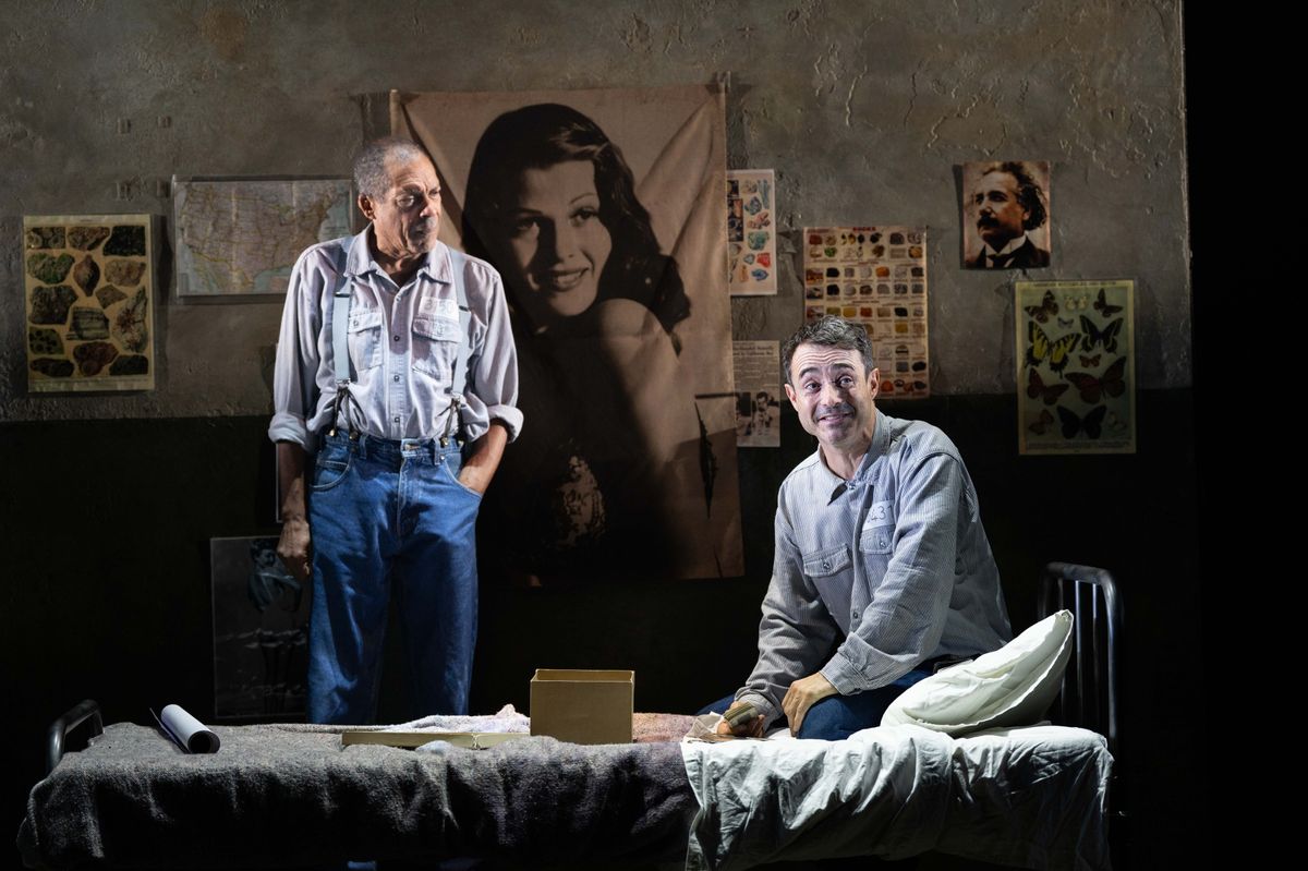 Shots from the on stage performance