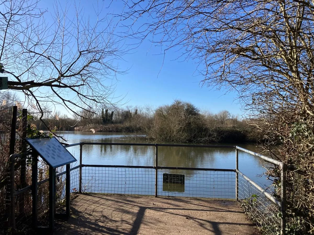 South Norwood Country Park lake