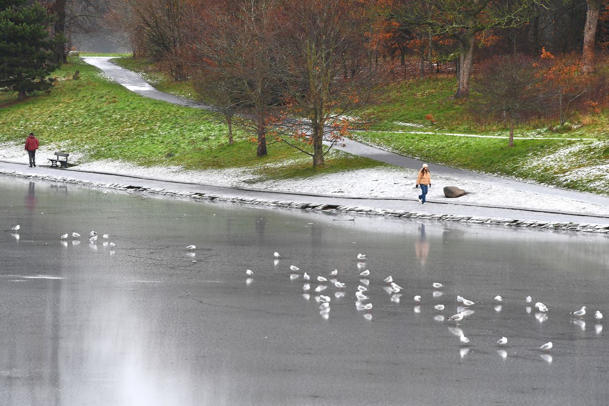 The man has been sleeping in Sefton Park during the harsh winter weeks 