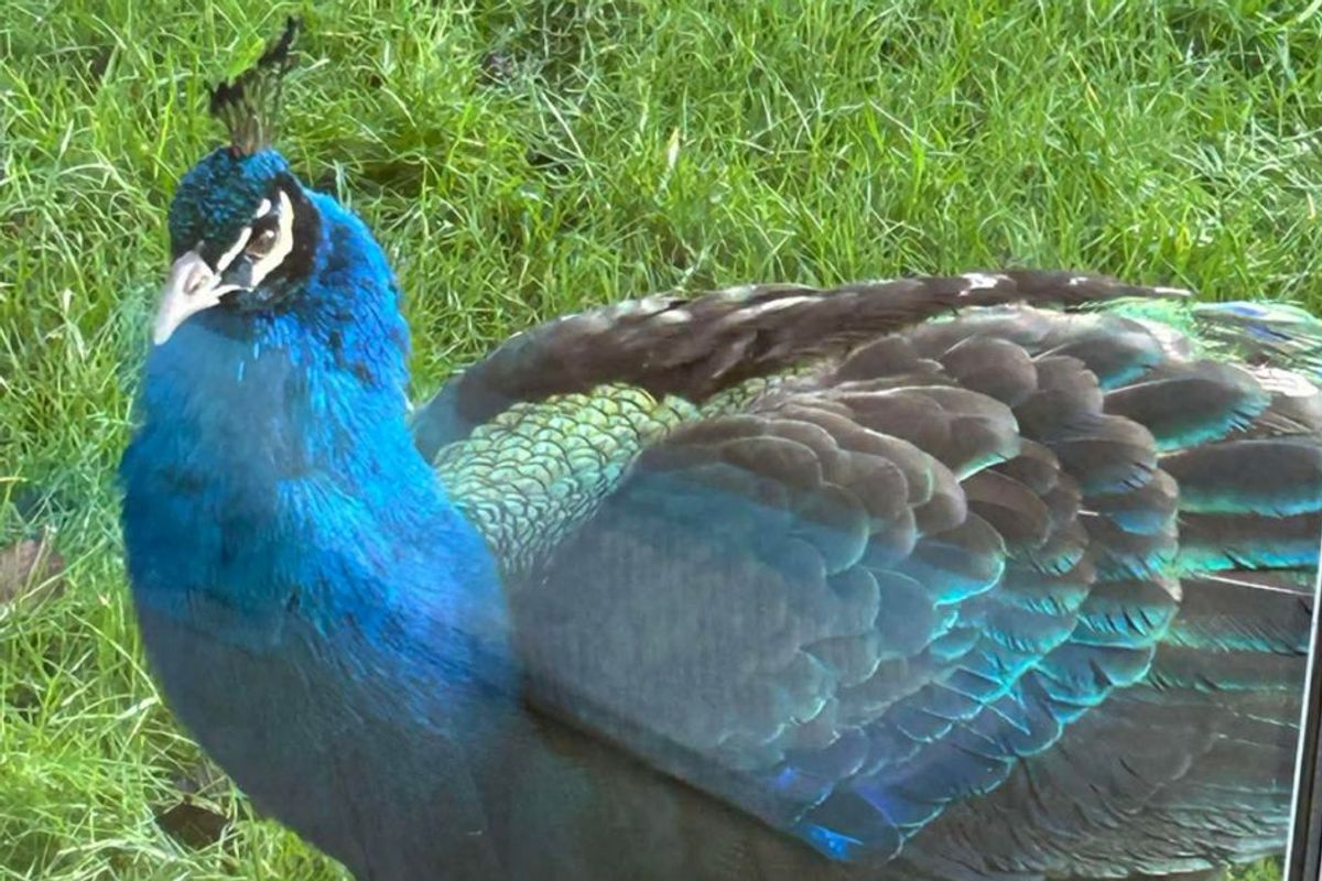 Dave is currently enjoying his time in Broughton Astley, about four miles from his home in Claybrooke Magna