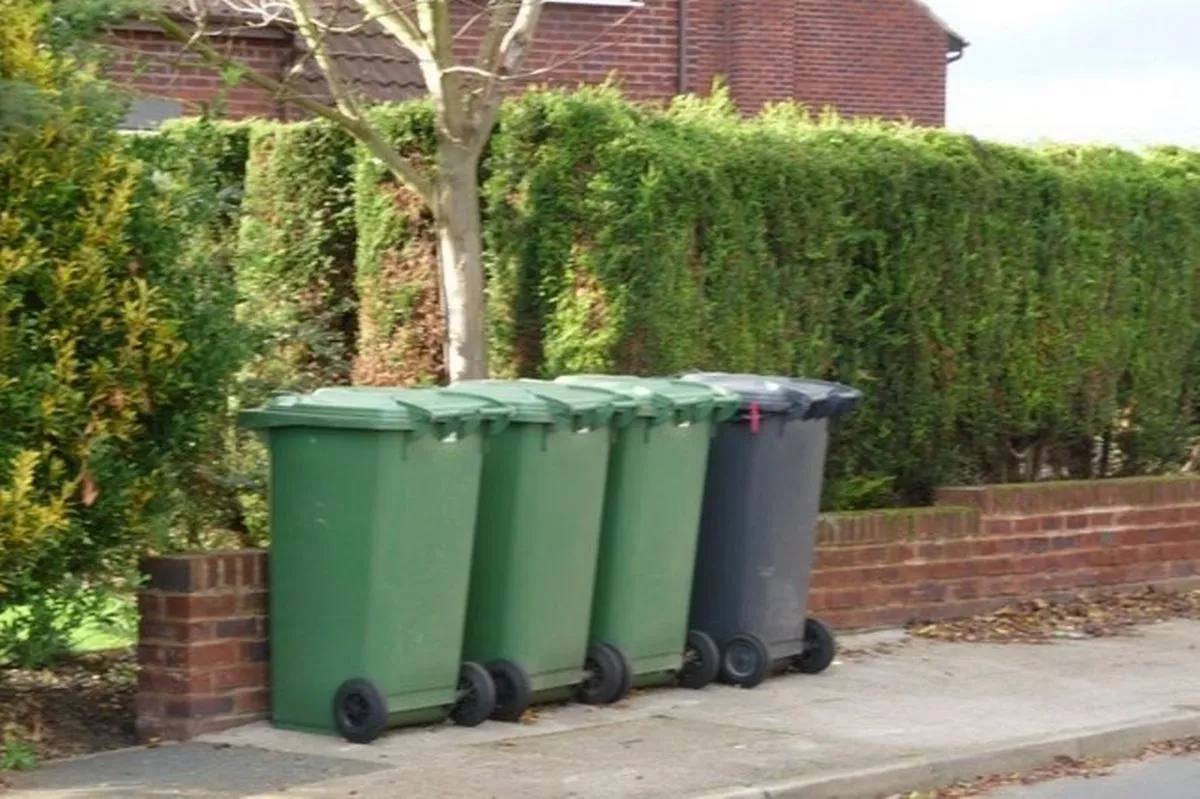 Wheelie bins.