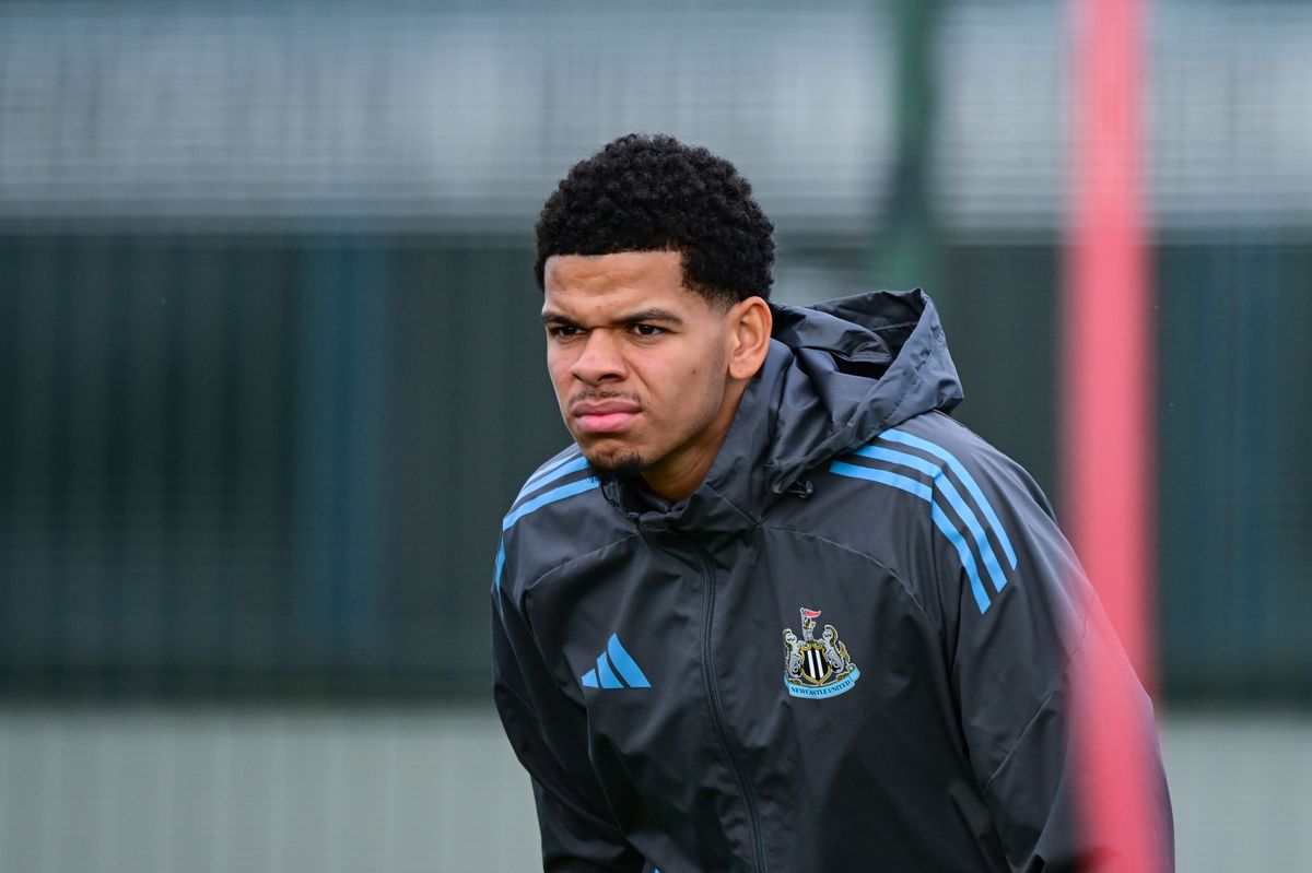 Will Osula looks on during the Newcastle United Training session at Newcastle United Training Centre