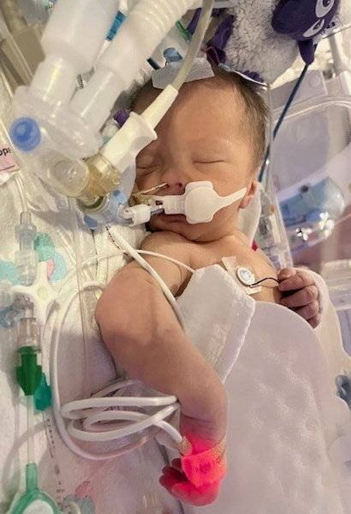 Sonny Taylor in hospital