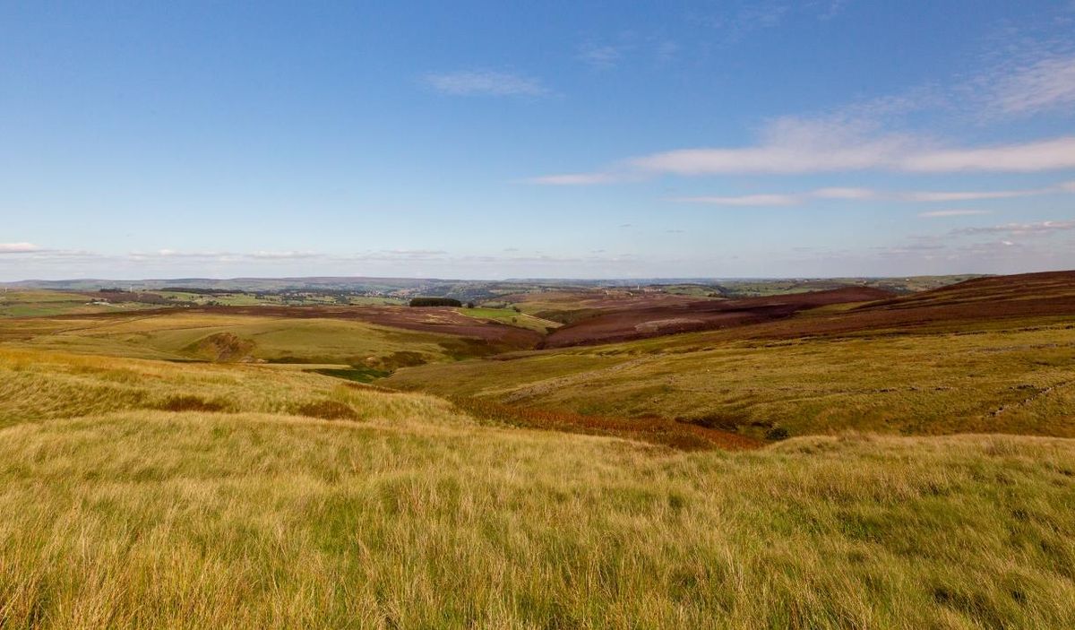 Bradford Pennine Gateway National Nature Reserve in West Yorkshire