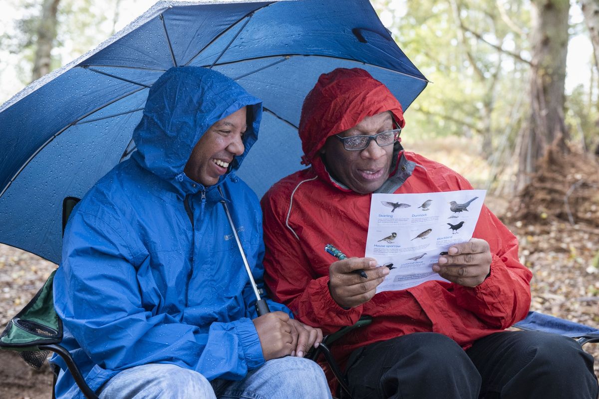 Sign up and the RSPB will provide a handy bird identification chart
