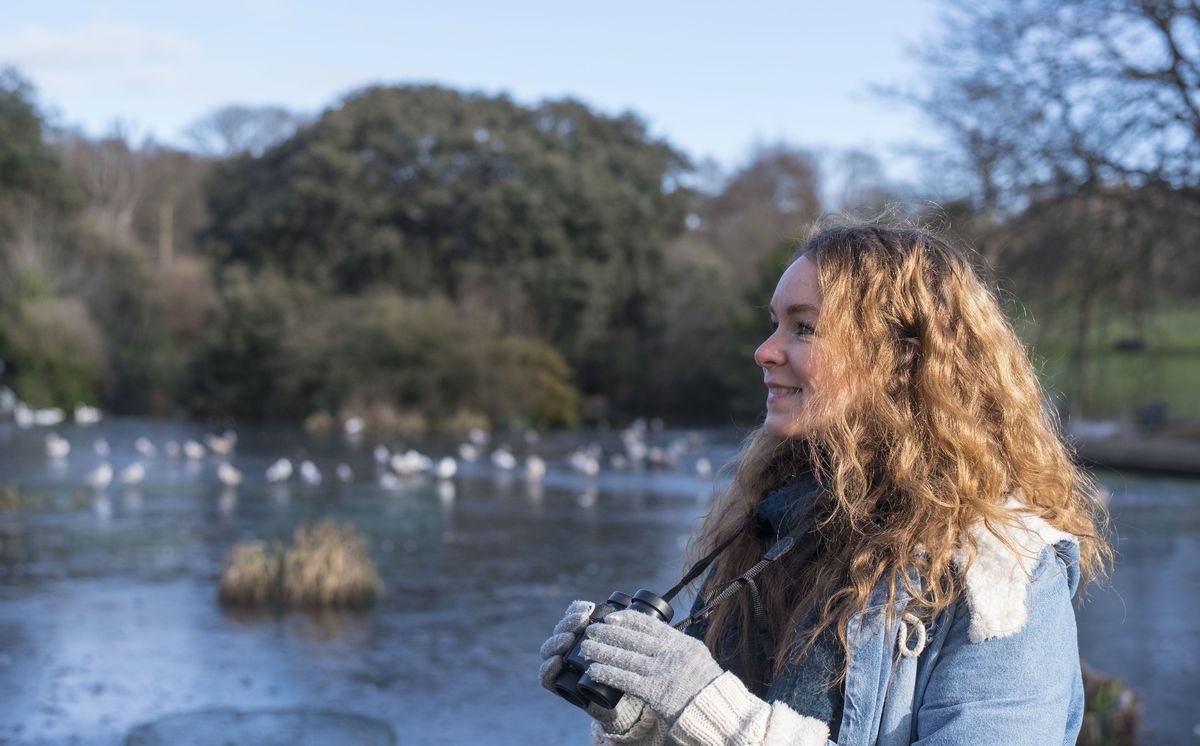 You don't have to have a garden, you can spend an hour watching and counting the birds in an allotment, on a balcony or at a local park