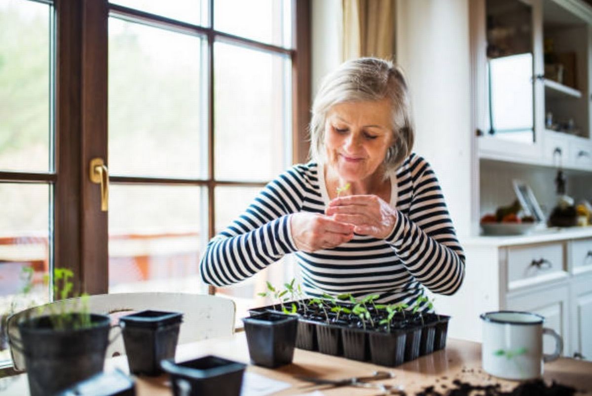 UK households face new pensions '£1,000 rule' being introduced by government