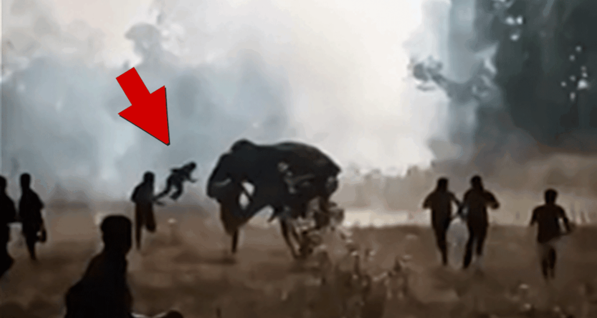 Killer Elephant Leaves 22 People Dead Over 10 Days in India, Still At Large