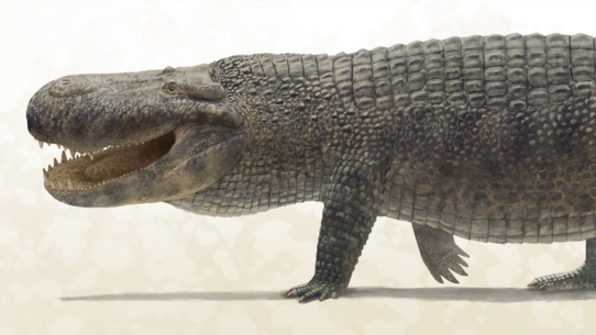 Purussaurus_life_reconstruction