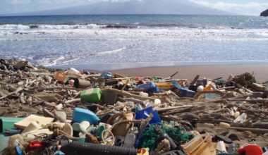 How NASA Is Homing in From Space on Ocean Debris