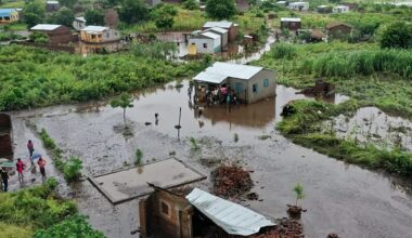 Mozambique: crocodiles appear in towns amid floods