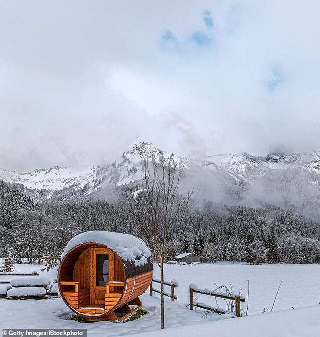 Saunas are a part of life in the snowy landscapes of Finland, with research highlighting the health positives of regular use