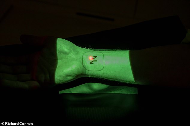 A view of the tissue scanning that is part of the Neko experience Dr Max tried out