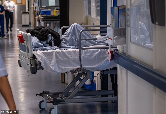 Patients being treated in hospital corridors has become increasingly common due to a lack of available beds (file photo)