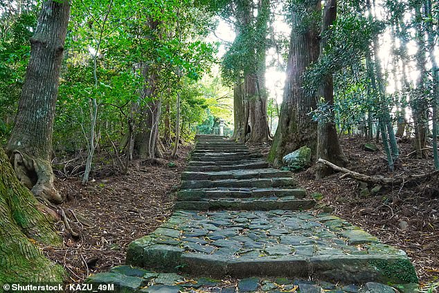 Daimon-zaka is an impressive cobblestone staircase slope which runs from the base of the valley to Kumano Nachi Taisha, Seiganto-ji Temple and Nachi waterfall in Nachikatsuura, Japan