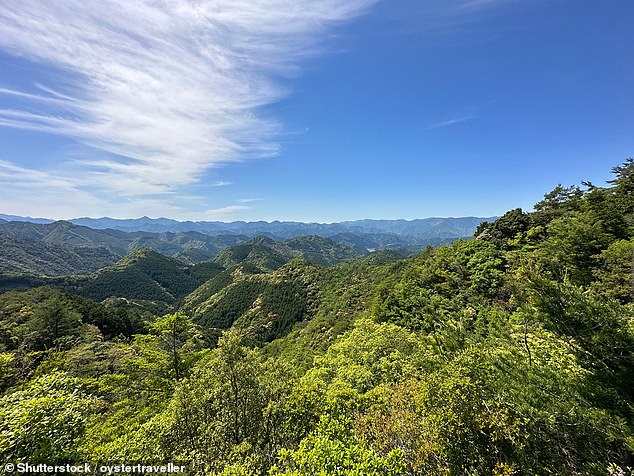 Pictured: The rugged, forested Kii Mountains in Japan. This UNESCO World Heritage site offers breathtaking horizons and dense forest landscapes
