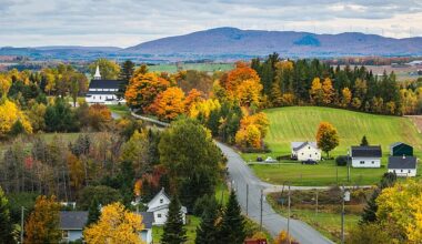500 people have, over the past seven years, been placed under the care of a single neurologist in the small Canadian province of New Brunswick – population just 870,000