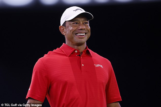 Insperity sponsors a tournament on the senior tour, which Woods has been linked with joining