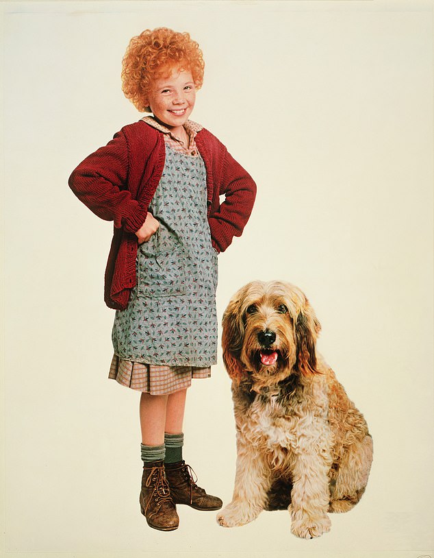 Aileen Quinn established her claim to fame at an early age with her iconic performance in the title role of Annie (pictured). Quinn was just nine years old when she beat out 8,000 other young girls to be cast as the flame-haired orphan in the 1982 theatrical feature