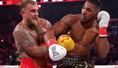 There is a disturbance in the force which is killing the star wars that empower world boxing - and the most critical damage is being inflicted on the marquee heavyweight division