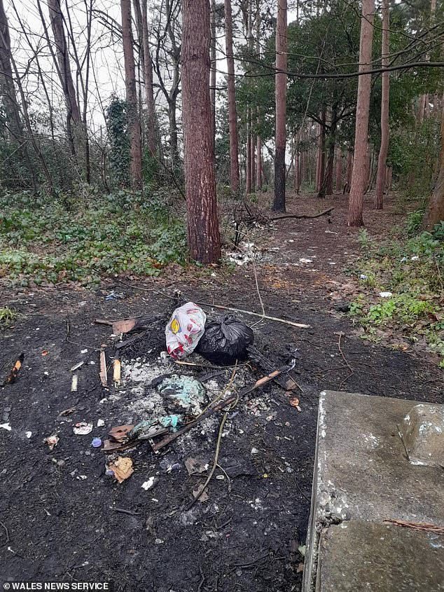 Pictured: The remains of a bonfire where fly-tippers have attempted to burn litter