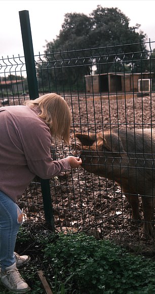 Maloney feeds the pigs on her farm in Portugal before the interview - her peacock is named after Eddie Hearn!