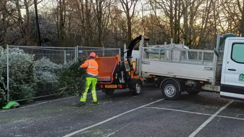 New Forest District Council A council worker in fluorescent clothing carries a Christmas tree in a car park which contains a fenced compound piled with trees