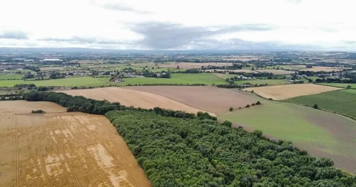 Darlington council climate change and nature plans 'important'