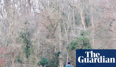 Snow and ice forecast for large parts of UK in new year cold snap | UK weather