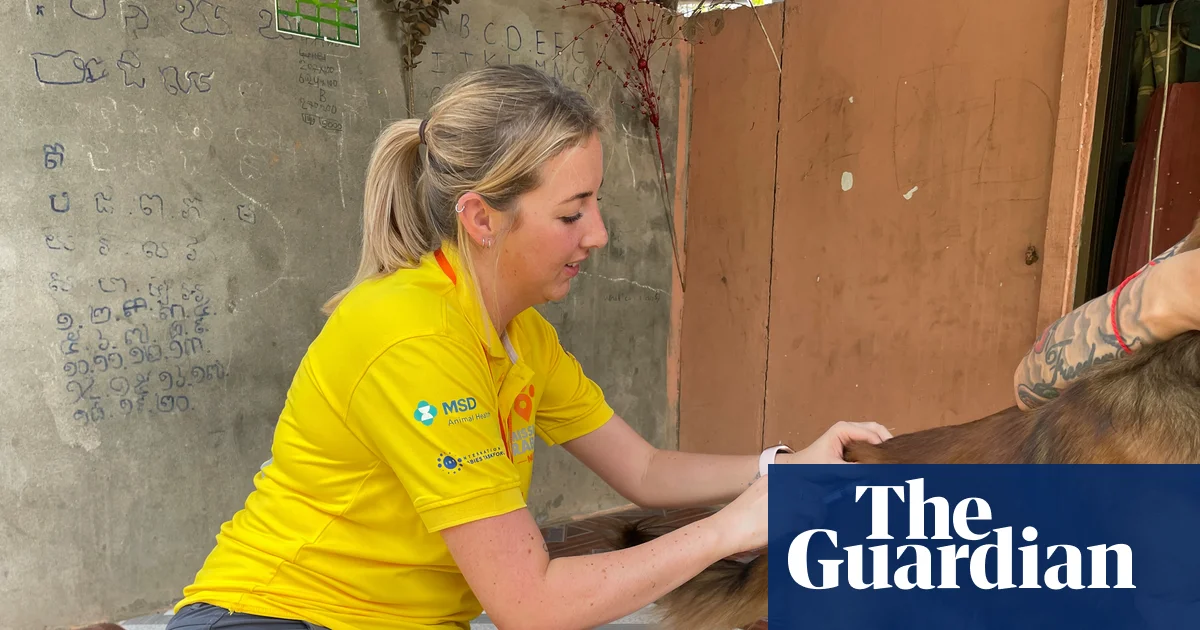 ‘I need to help’: Barnsley woman’s rabies death inspires dog-vaccinating mission | Infectious diseases