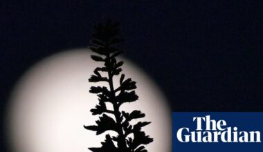 Donald Trump wants the US back on the moon before his term ends. Can it happen? | US news