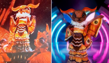 ITV The Masked Singer fans 'uncover' Moth's identity within moments of debut as they 'work out' clues package