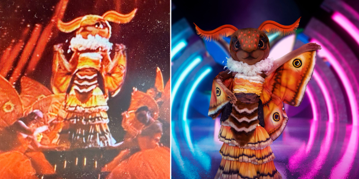 ITV The Masked Singer fans 'uncover' Moth's identity within moments of debut as they 'work out' clues package