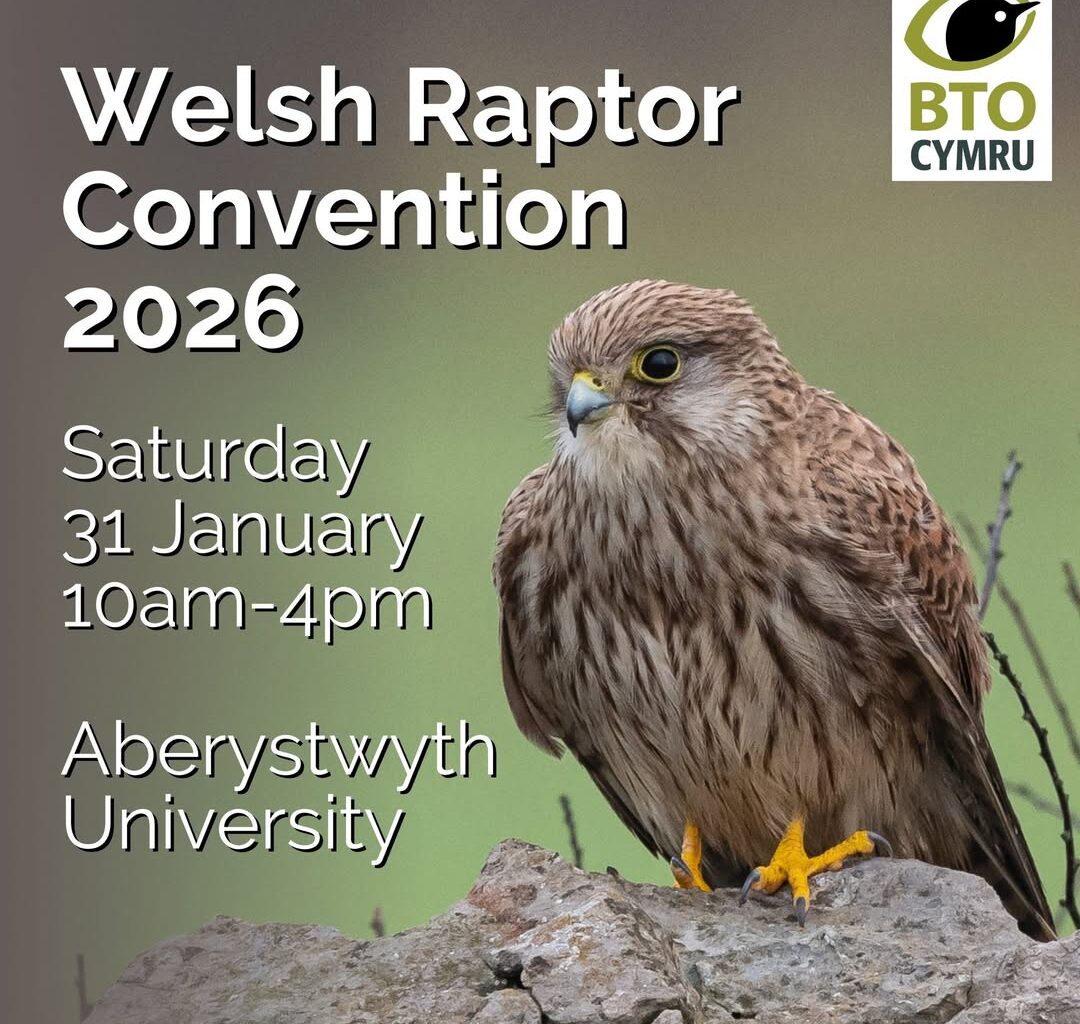 Welsh Raptor Convention 2026 – Raptor Persecution UK