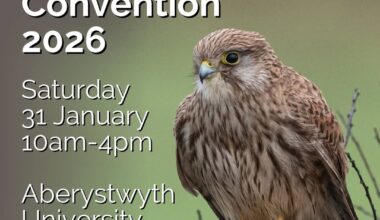 Welsh Raptor Convention 2026 – Raptor Persecution UK