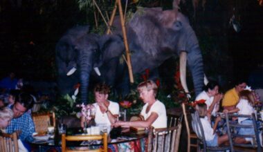 Manchester Evening News